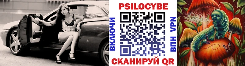 Псилоцибиновые грибы Psilocybine cubensis  как найти закладки  Белый 