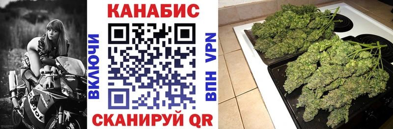 omg вход  Белый  Конопля OG Kush 